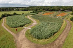 The Coal Authority’s passive treatment scheme, Hockery Brook, Wigan